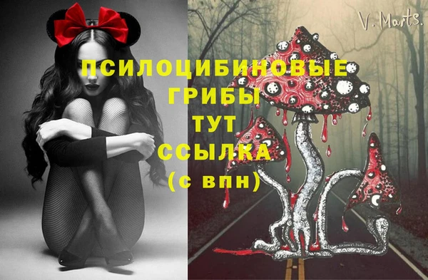 каннабис Тайга