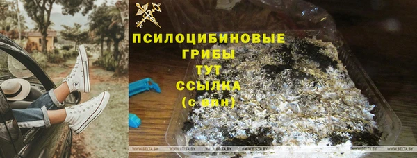 марихуана Тавда
