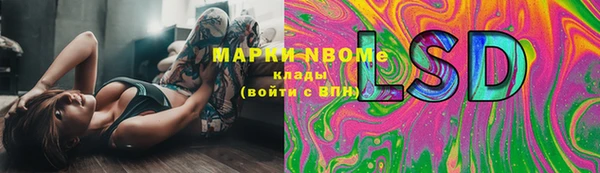 ГАЛЛЮЦИНОГЕННЫЕ ГРИБЫ Вязьма