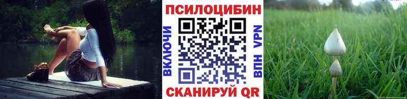купить наркотик  Отрадный  Галлюциногенные грибы прущие грибы 